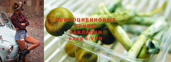 тгк Карпинск