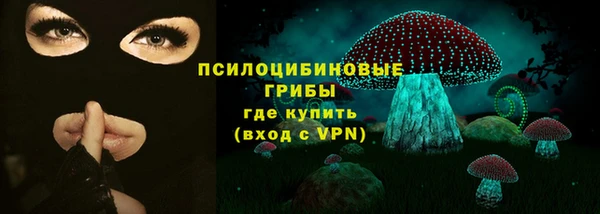 тгк Карпинск