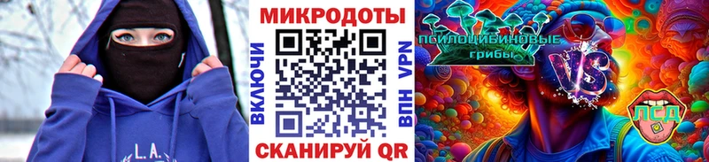 Псилоцибиновые грибы Psilocybe  Купить закладки  Курлово 
